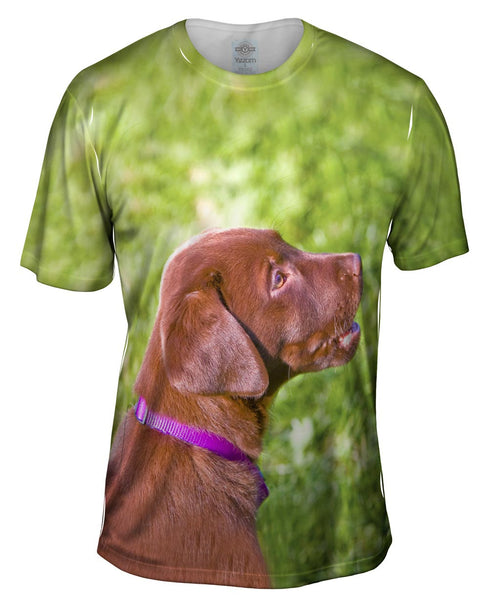 Young Chocolate Lab Mens T-Shirt