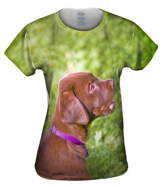 Young Chocolate Lab Womens Top