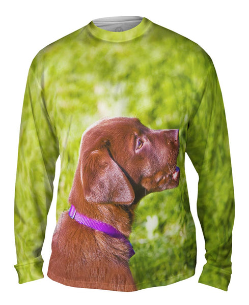 Young Chocolate Lab Mens Long Sleeve