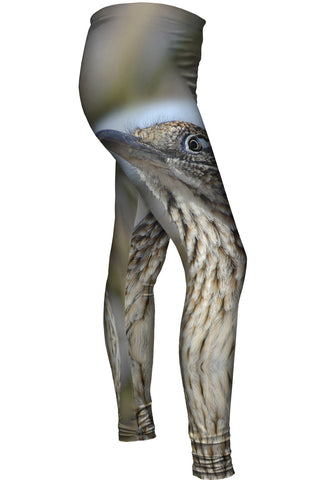 Couragous Roadrunner