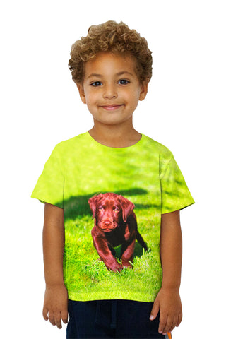Kids Speedy Chocolate Lab