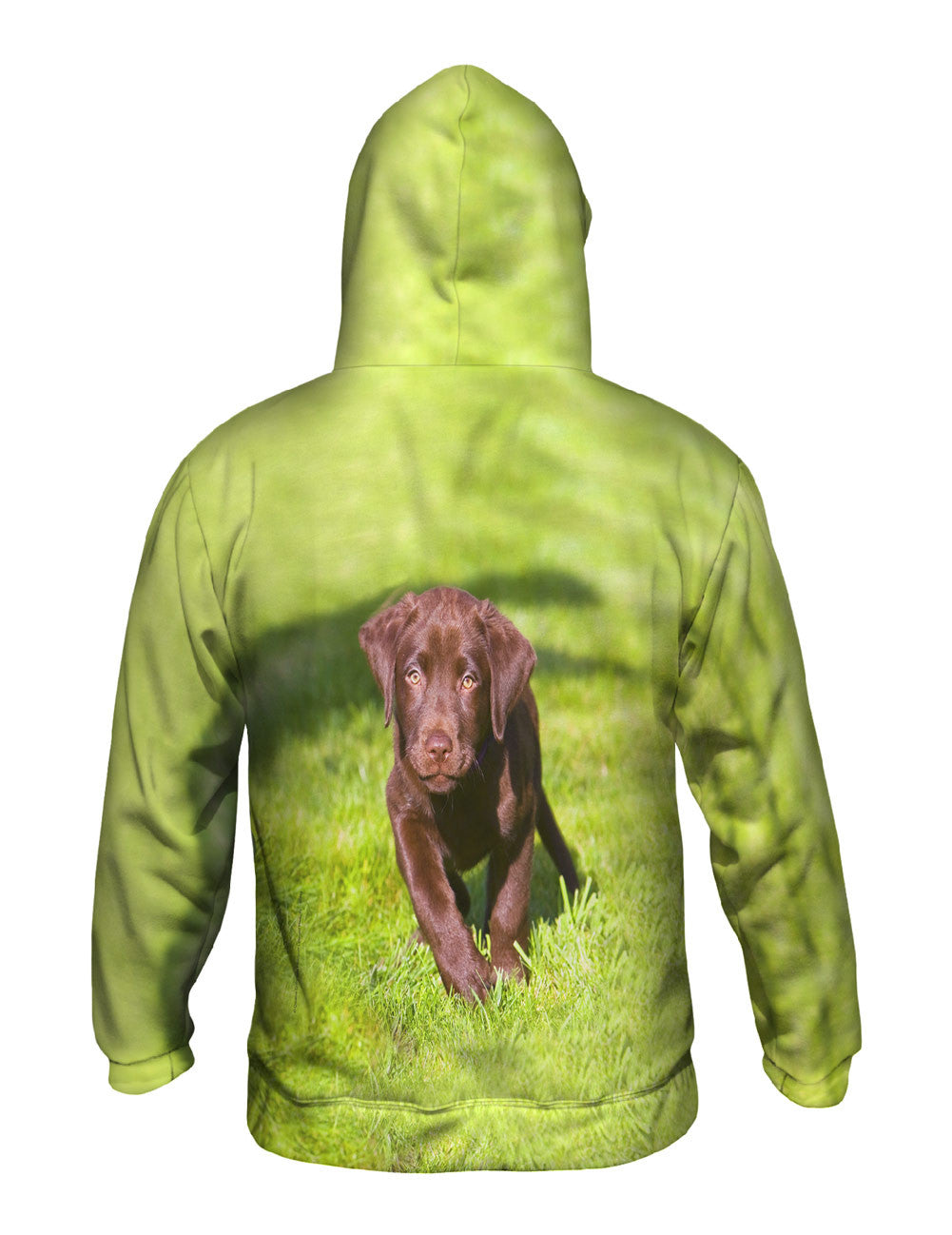 Speedy Chocolate Lab Mens Hoodie Sweater | Yizzam