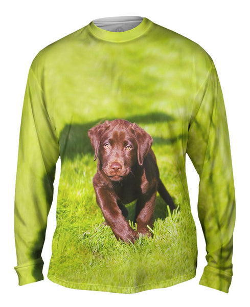 Speedy Chocolate Lab Mens Long Sleeve