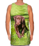 Speedy Chocolate Lab