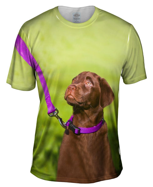 Obedient Chocolate Lab Mens T-Shirt