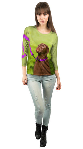 Obedient Chocolate Lab