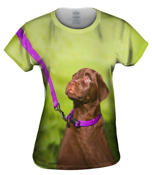 Obedient Chocolate Lab Womens Top