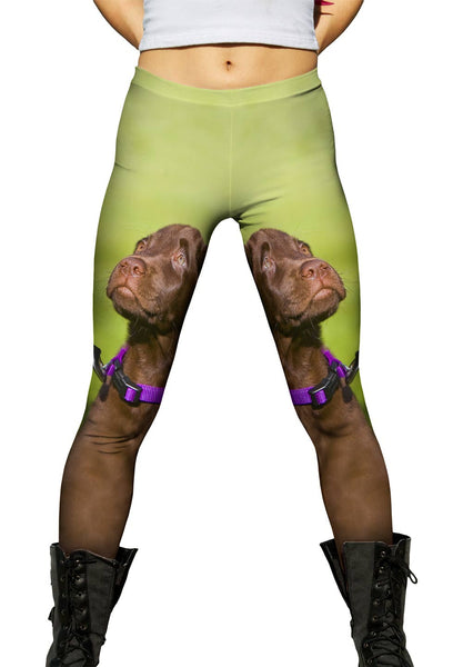 Obedient Chocolate Lab&nbsp;Womens Leggings