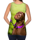 Obedient Chocolate Lab