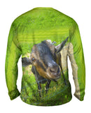 Wild Goat Squeeze