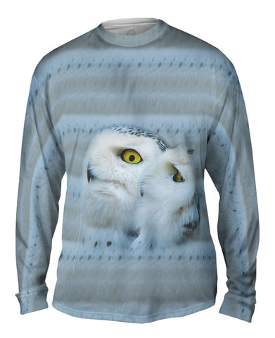 Snow Owls