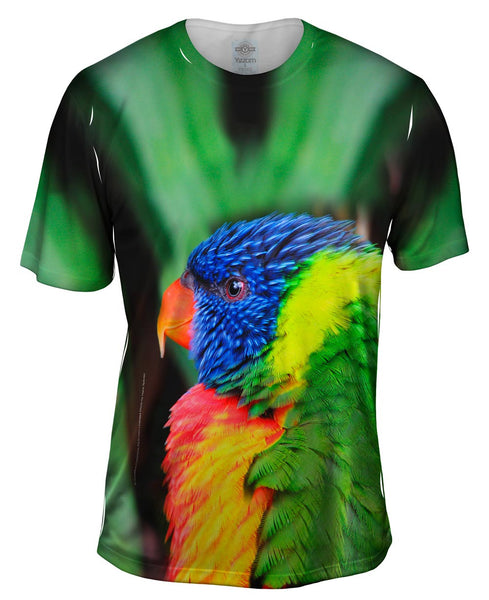 Rainbow Parrot Mens T-Shirt