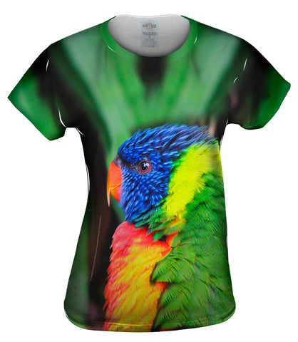 Rainbow Parrot