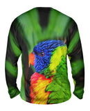 Rainbow Parrot