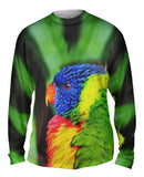 Rainbow Parrot
