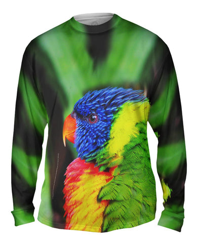 Rainbow Parrot