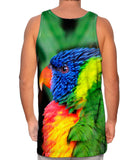 Rainbow Parrot