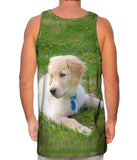 Golden Lab Puppy Relaxing