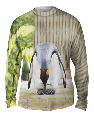 King Penguin
