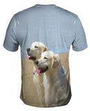 Golden Labs At Beach