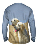 Golden Labs At Beach