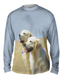 Golden Labs At Beach