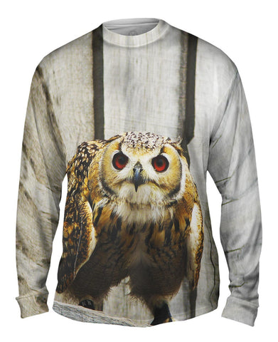 Ready Owl