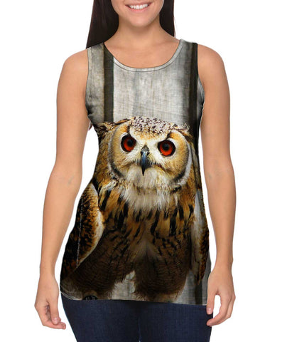 Ready Owl