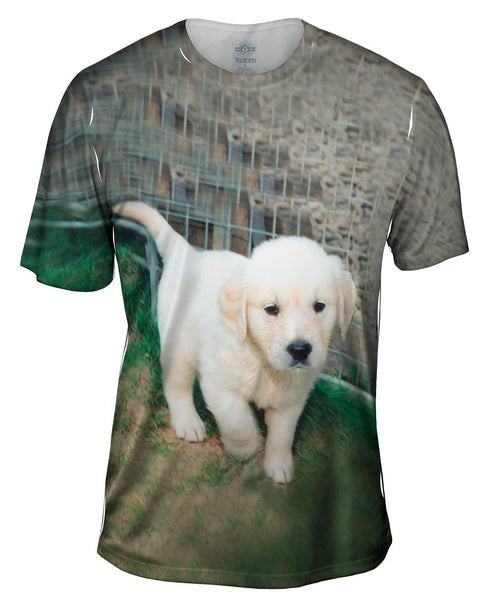 Golden Lab Puppy Toro Mens T-Shirt