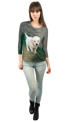 Golden Lab Puppy Toro