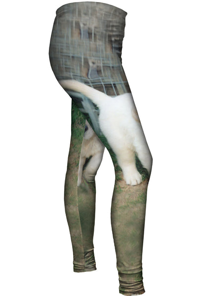 Golden Lab Puppy Toro Womens Leggings