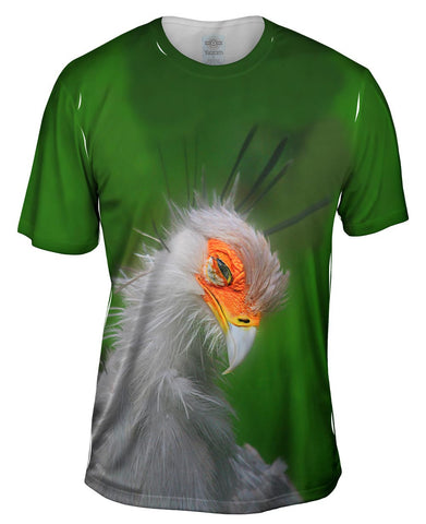Sectetary Bird