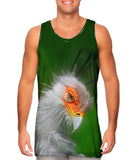 Sectetary Bird
