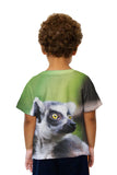Kids Full Attentention Grey Lemur