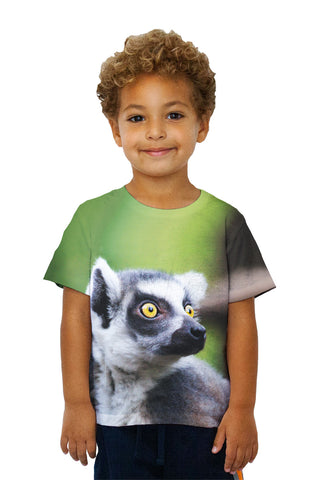 Kids Full Attentention Grey Lemur