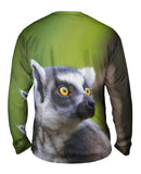 Full Attentention Grey Lemur