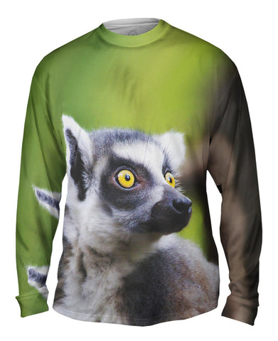 Full Attentention Grey Lemur