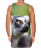 Full Attentention Grey Lemur