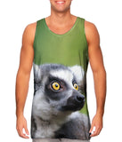Full Attentention Grey Lemur