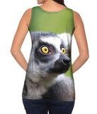 Full Attentention Grey Lemur