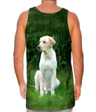 Golden Lab In Garden