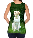 Golden Lab In Garden