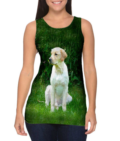 Golden Lab In Garden