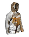 Orange Fox