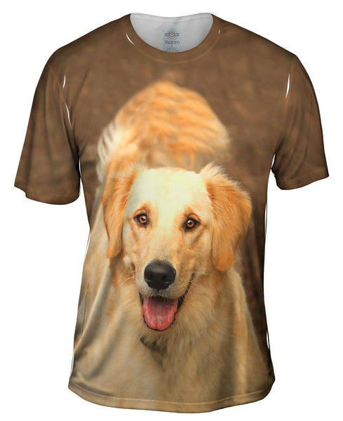 Fluffy Tailed Golden Lab Mens T-Shirt