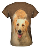 Fluffy Tailed Golden Lab
