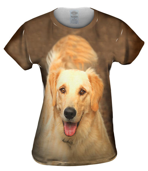 Fluffy Tailed Golden Lab Womens Top