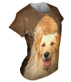 Fluffy Tailed Golden Lab
