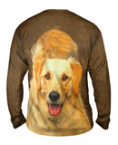 Fluffy Tailed Golden Lab