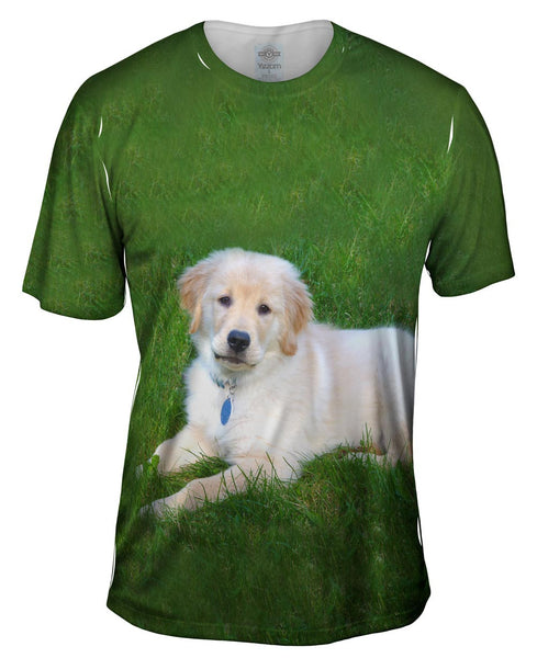 Golden Lab Lays About Mens T-Shirt